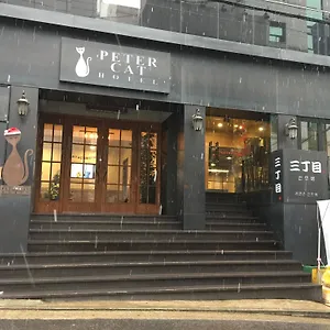 Hotel Petercat Shinchon, Seoul